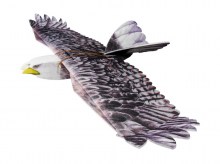 eagle 1430 mm epp